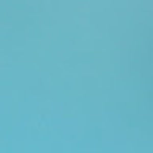 Meet your Posher, Lilia